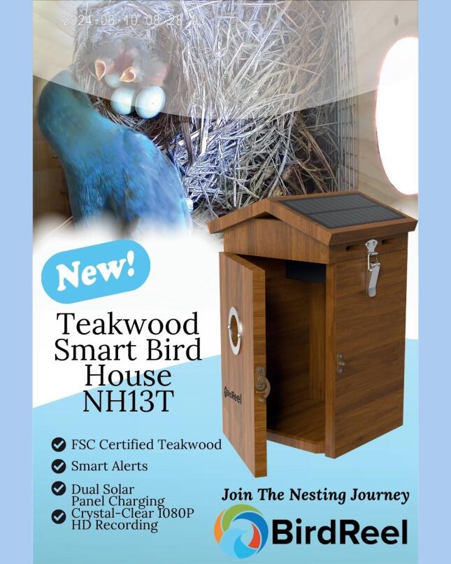 Smart Bird House