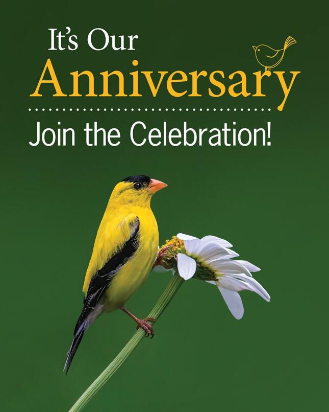 anniversary celebration