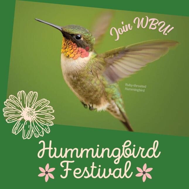 hummer fest 26