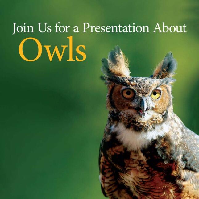 Fall Owls Presents