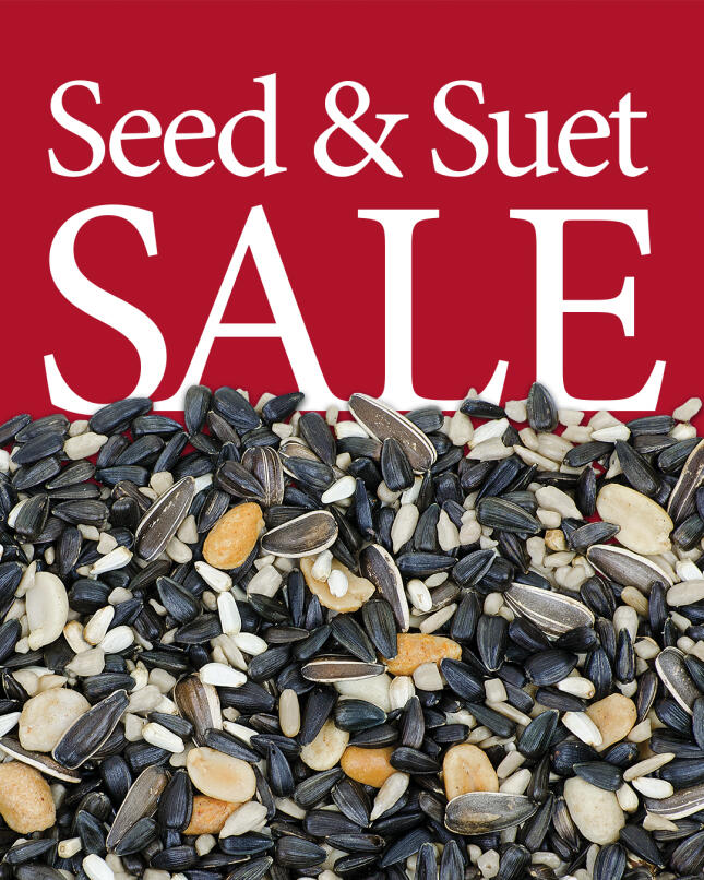 bird seed sale