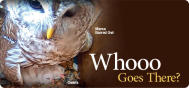 EDU Owl Cam 2003E