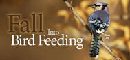 EDU Fall Feeding 1910E