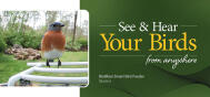 PROMO Bird Feeding Tech 2509P-V1-BirdReel